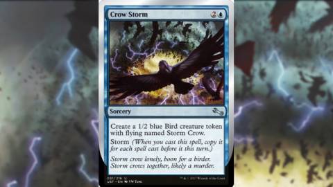 Crow Storm: Capitalizing on a Meme